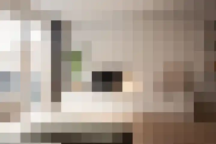 Kamperlaan 120 Haarlem thumbnail 17