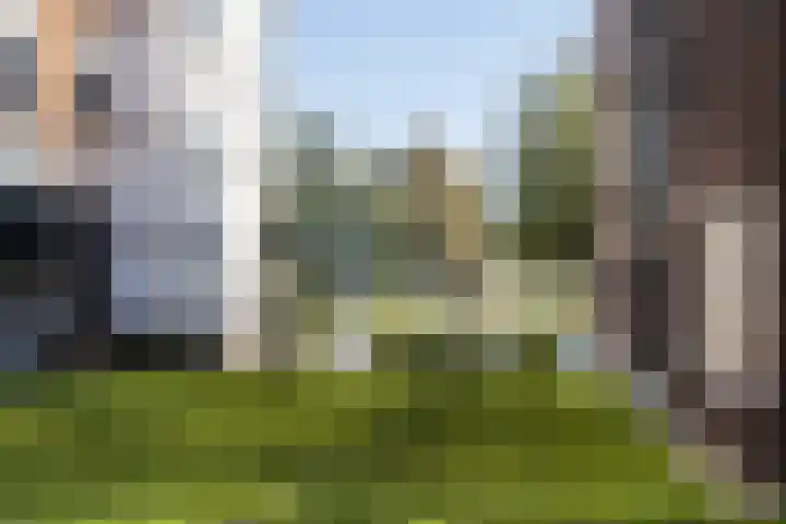 Kamperlaan 120 Haarlem thumbnail 4