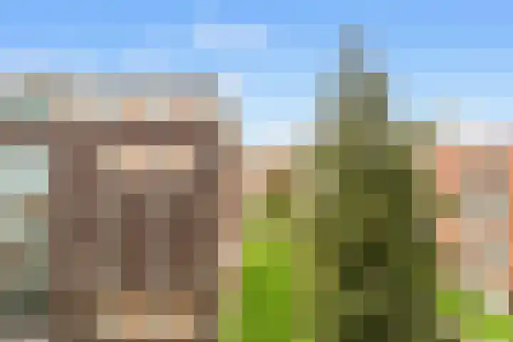 Kamperlaan 150 Haarlem thumbnail 12