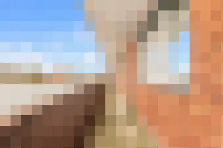 Kamperlaan 150 Haarlem thumbnail 26