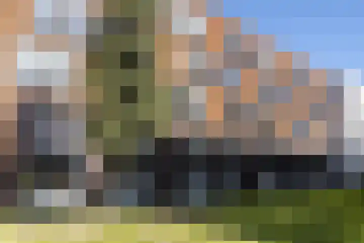 Kamperlaan 150 Haarlem thumbnail 33