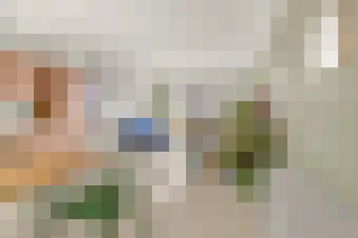 Kamperlaan 150 Haarlem thumbnail 6