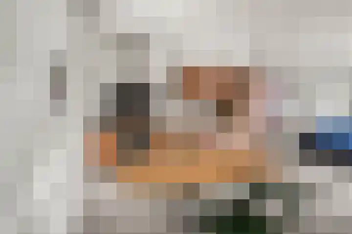 Kamperlaan 150 Haarlem thumbnail 7