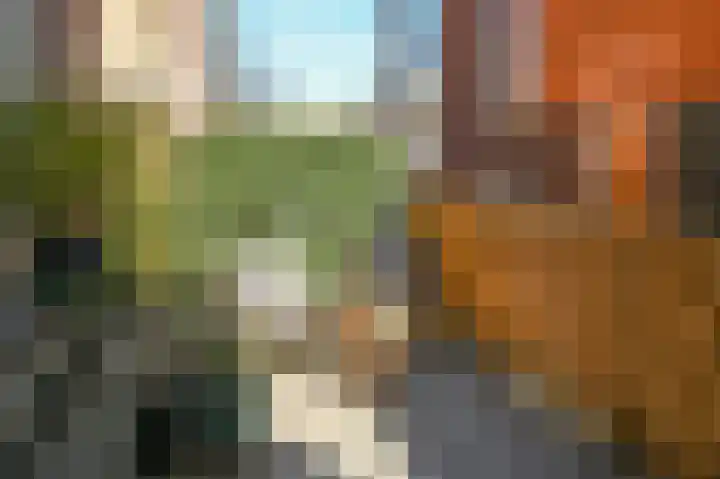 Kamperlaan 32 Haarlem thumbnail 18