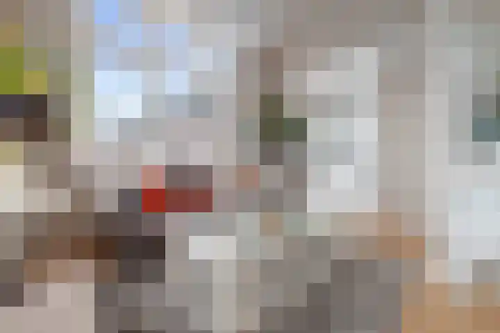 Kamperlaan 38 Haarlem thumbnail 10