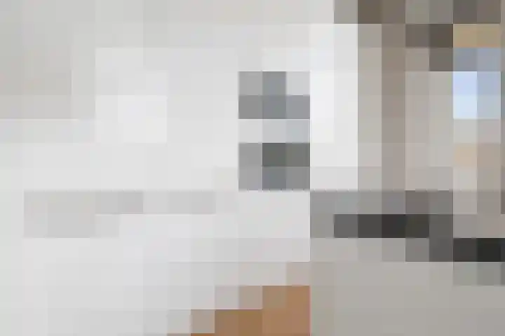Kamperlaan 38 Haarlem thumbnail 21
