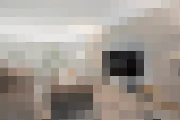 Kamperlaan 38 Haarlem thumbnail 30