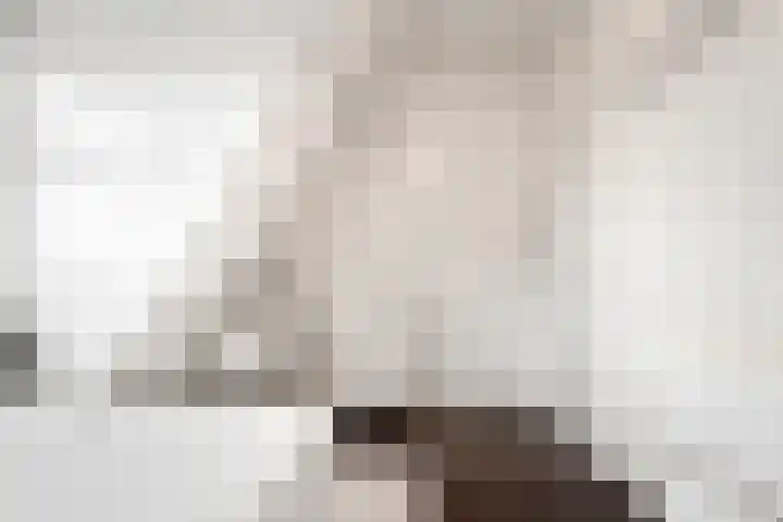 Kamperlaan 38 Haarlem thumbnail 37