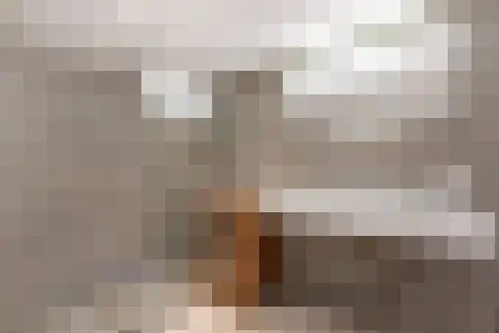 Kamperlaan 52 Haarlem thumbnail 24