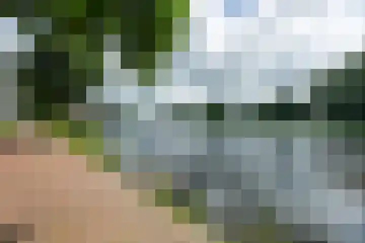 Kamperlaan 52 Haarlem thumbnail 32