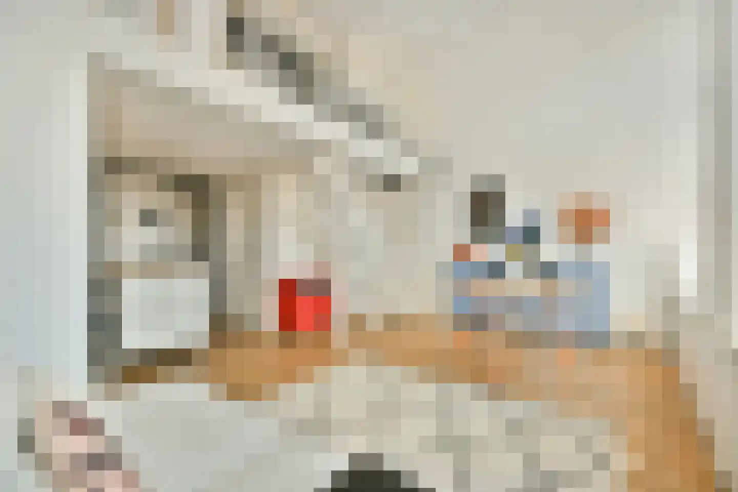 Kamperlaan 60 Haarlem thumbnail 9