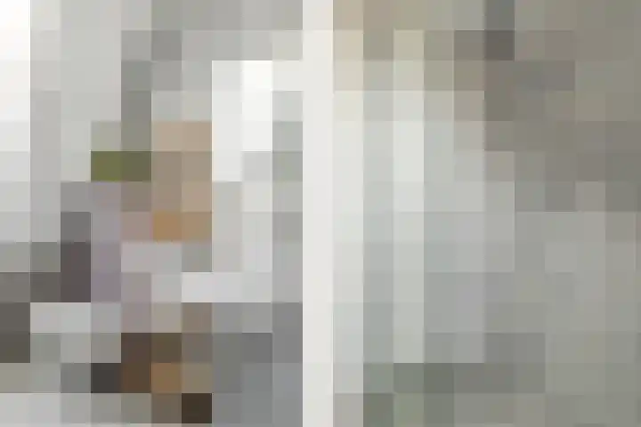 Kamperlaan 78 Haarlem thumbnail 26