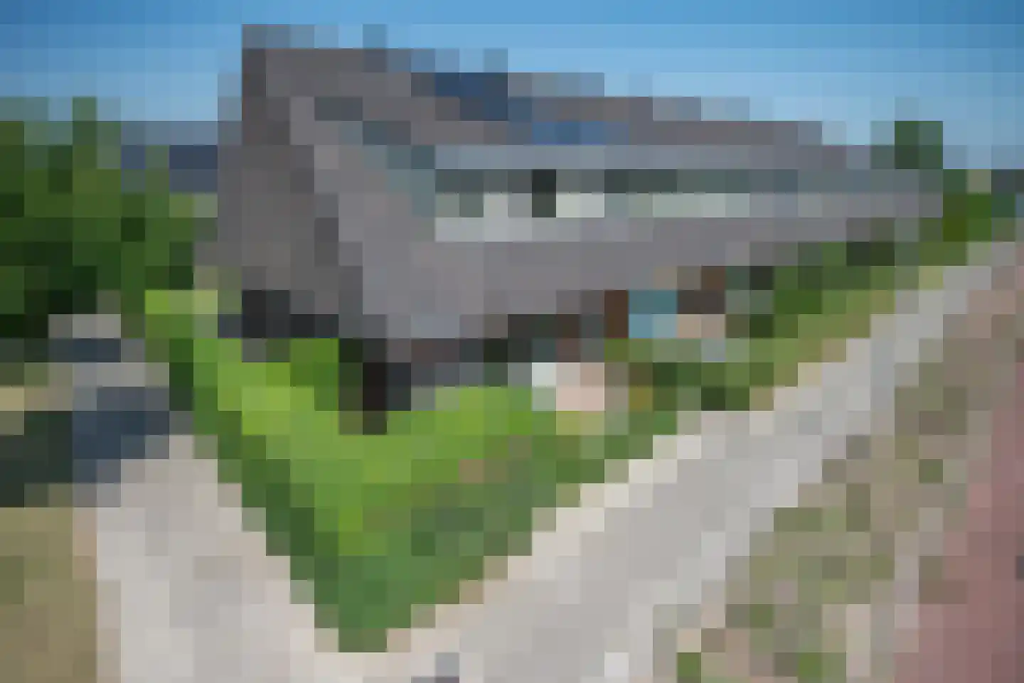 Kamperpad 2 in Berkel en Rodenrijs