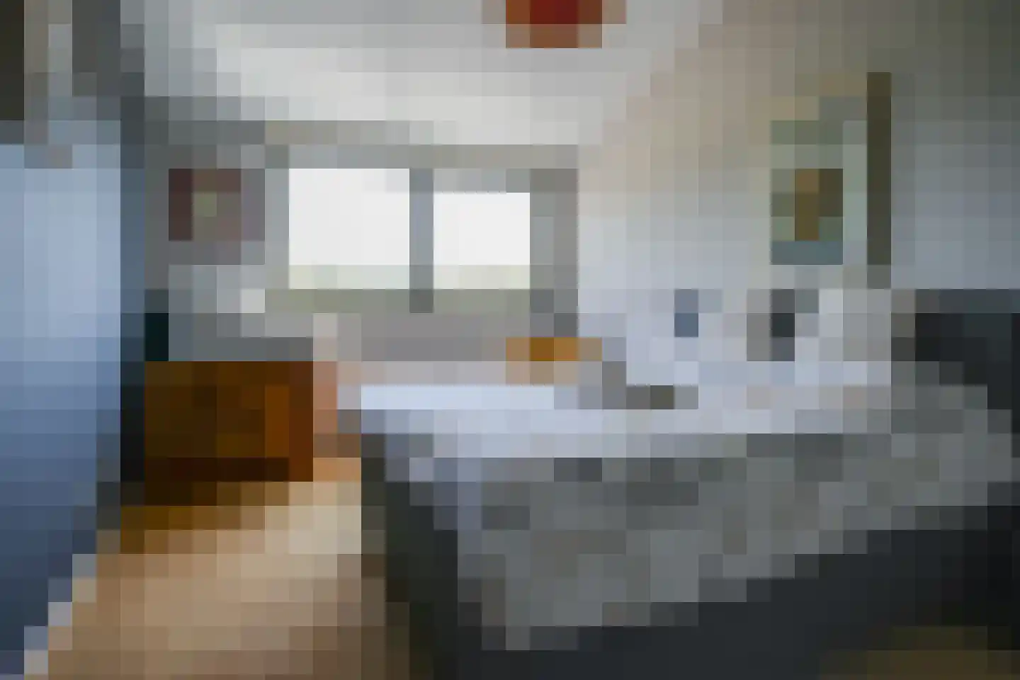 Kamperpad 2 Berkel en Rodenrijs thumbnail 21