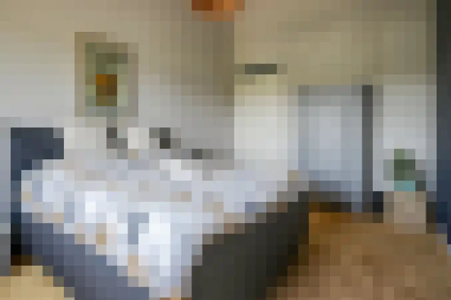 Kamperpad 2 Berkel en Rodenrijs thumbnail 22