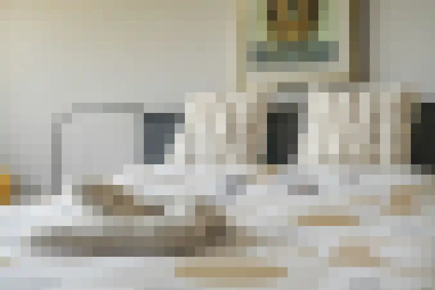 Kamperpad 2 Berkel en Rodenrijs thumbnail 23