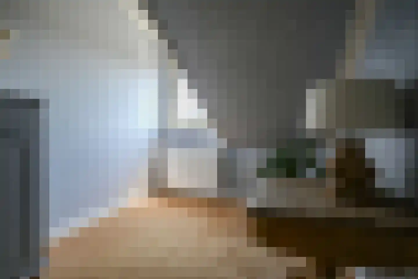 Kamperpad 2 Berkel en Rodenrijs thumbnail 25