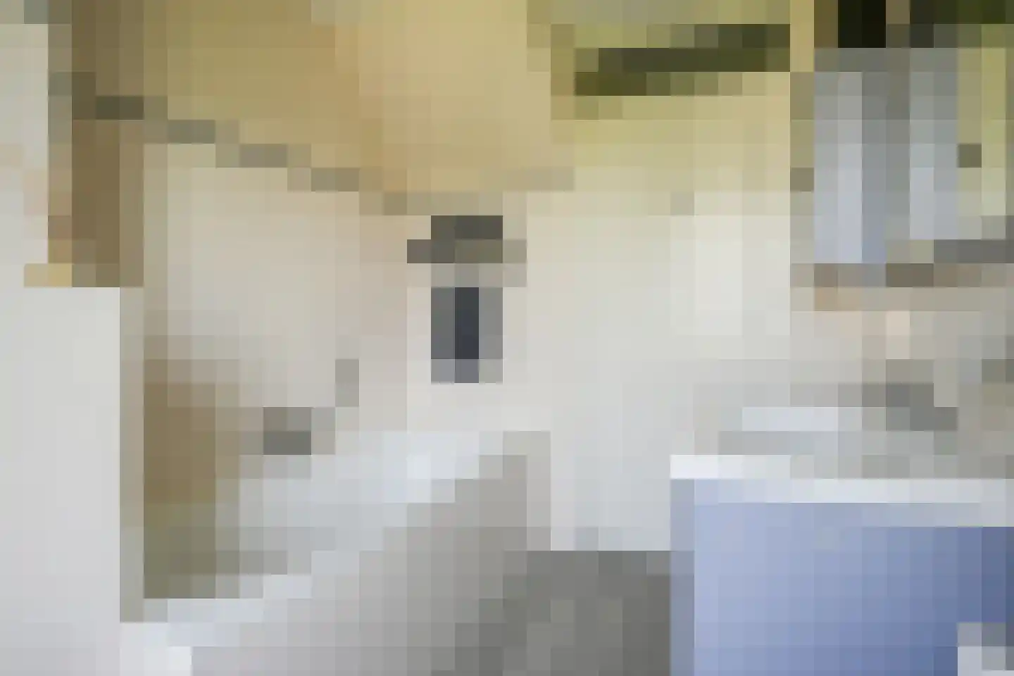 Kamperpad 2 Berkel en Rodenrijs thumbnail 27