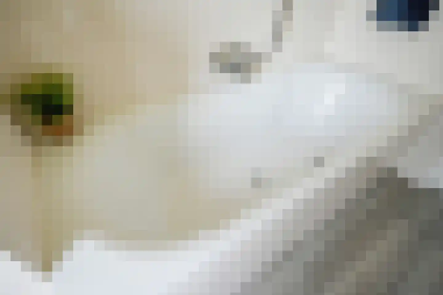 Kamperpad 2 Berkel en Rodenrijs thumbnail 30