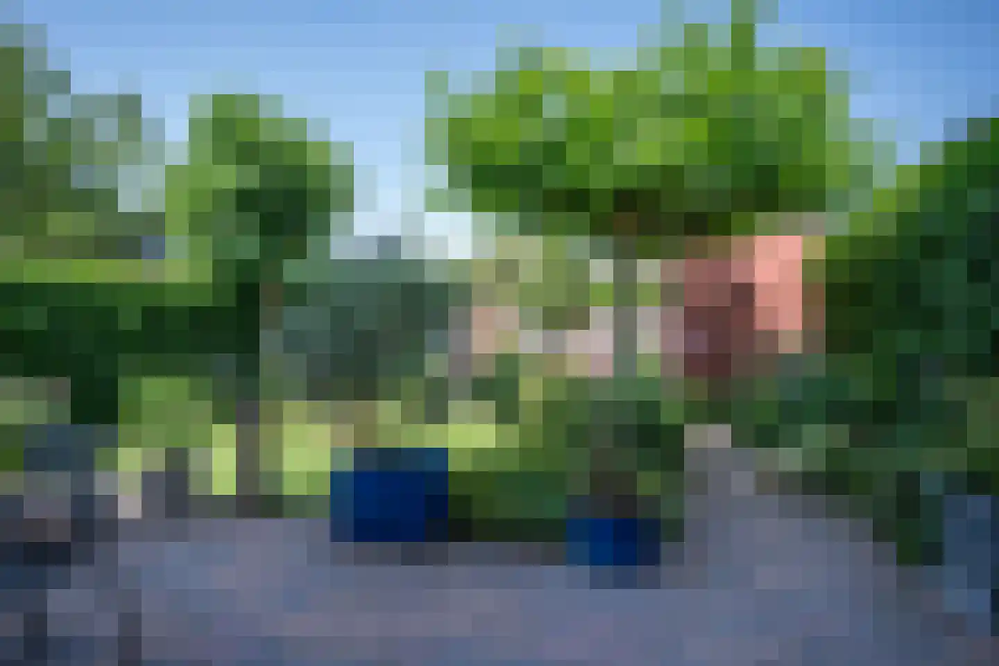 Kamperpad 2 Berkel en Rodenrijs thumbnail 38
