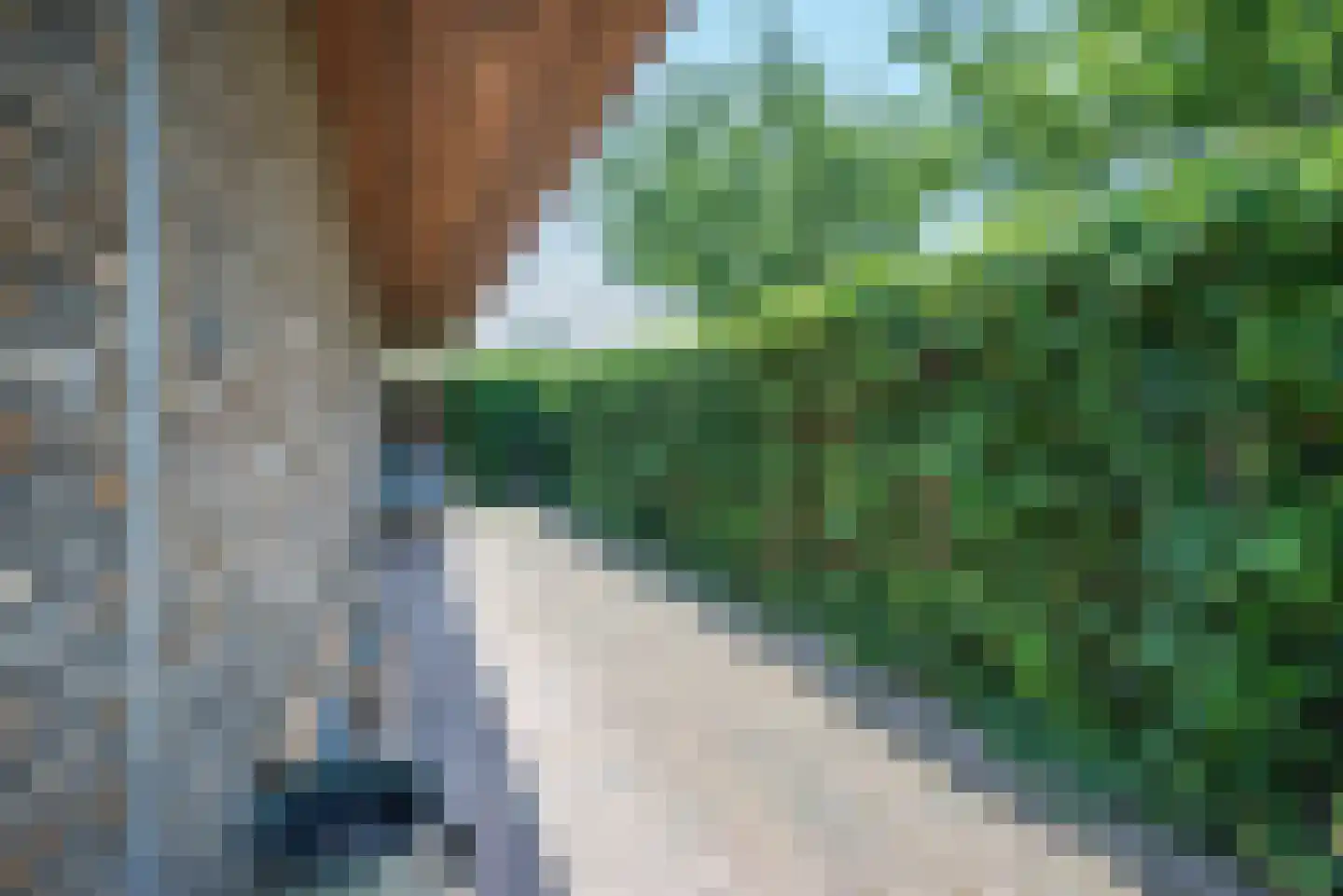 Kamperpad 2 Berkel en Rodenrijs thumbnail 43