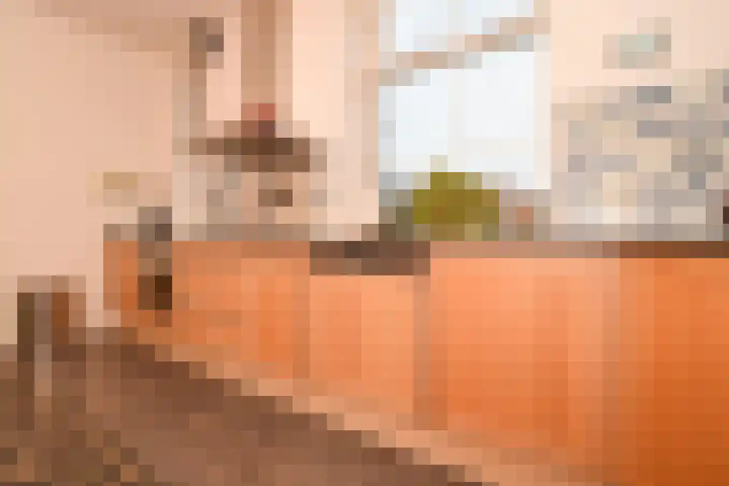 Kamperseweg 12 Zaamslag thumbnail 11
