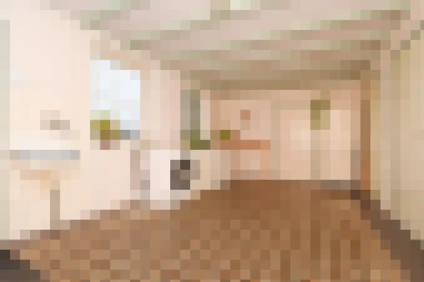 Kamperseweg 12 Zaamslag thumbnail 12