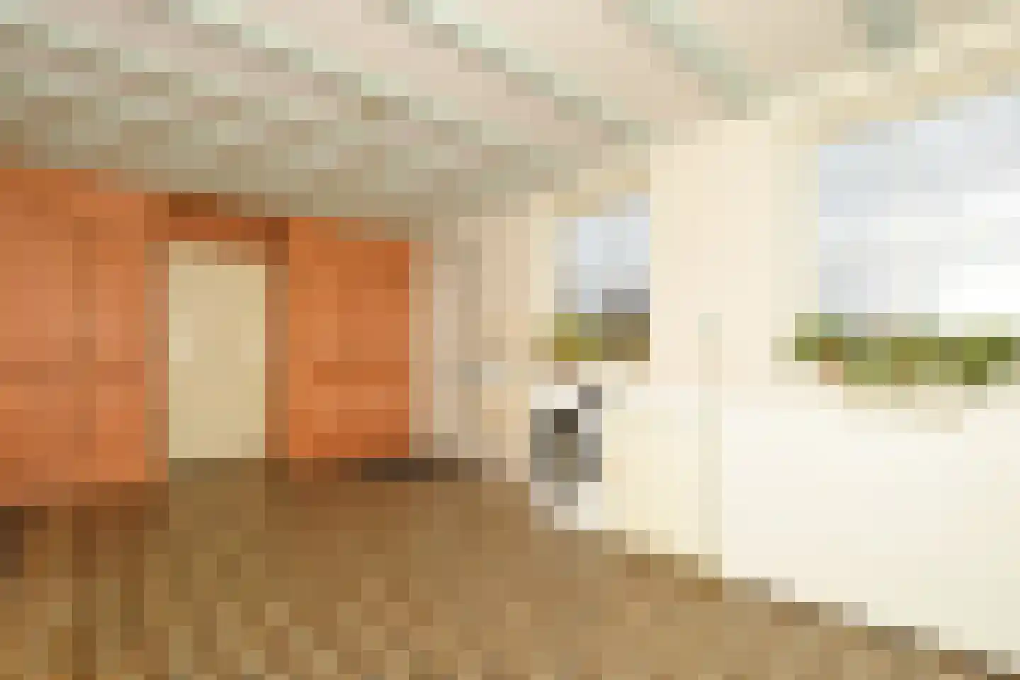 Kamperseweg 12 Zaamslag thumbnail 13