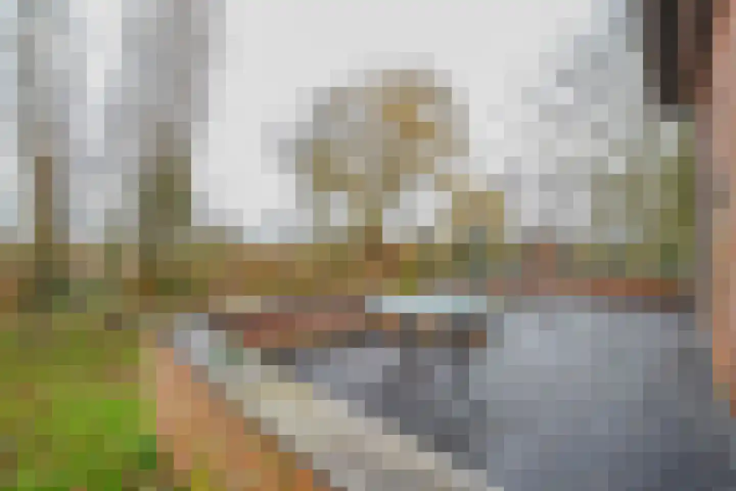 Kamperseweg 12 Zaamslag thumbnail 29