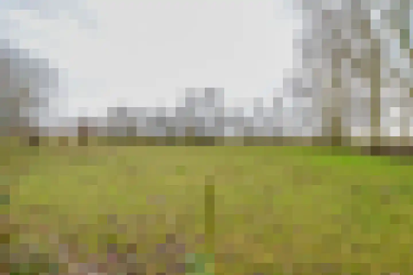 Kamperseweg 12 Zaamslag thumbnail 34