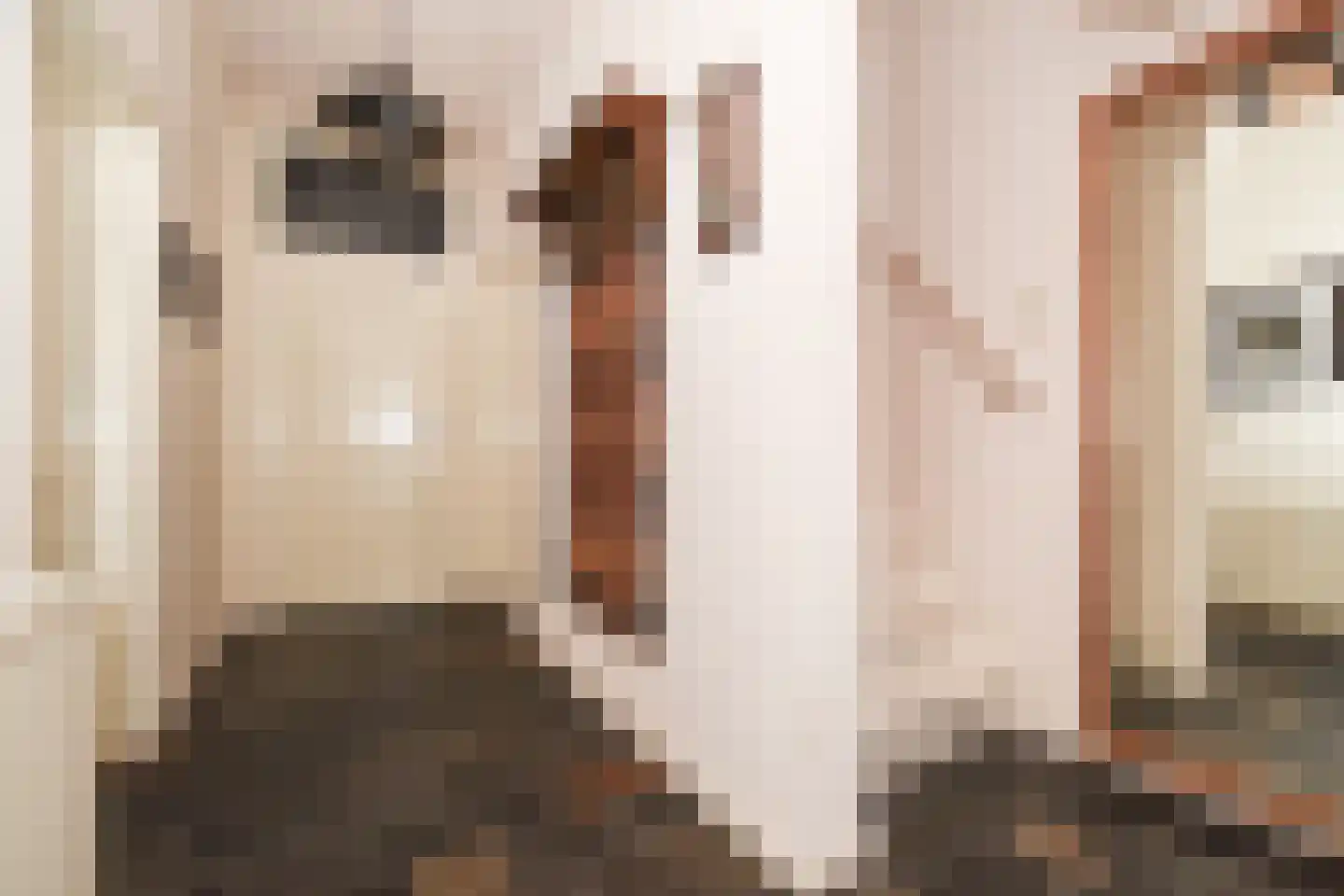 Kamperseweg 12 Zaamslag thumbnail 5