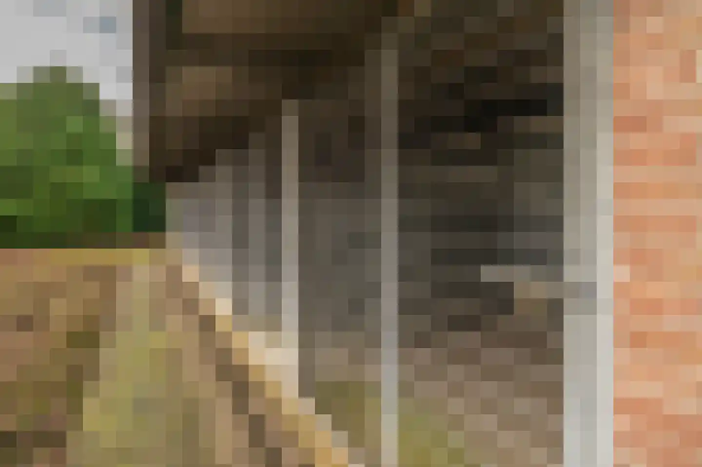 Kamperseweg 7 Zaamslag thumbnail 37