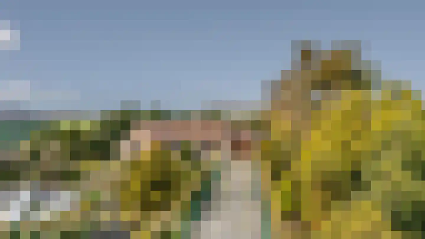 Kamperseweg 7 Zaamslag thumbnail 4