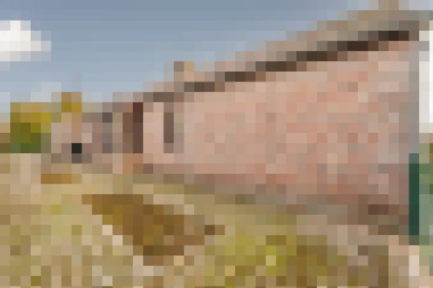 Kamperseweg 7 Zaamslag thumbnail 46