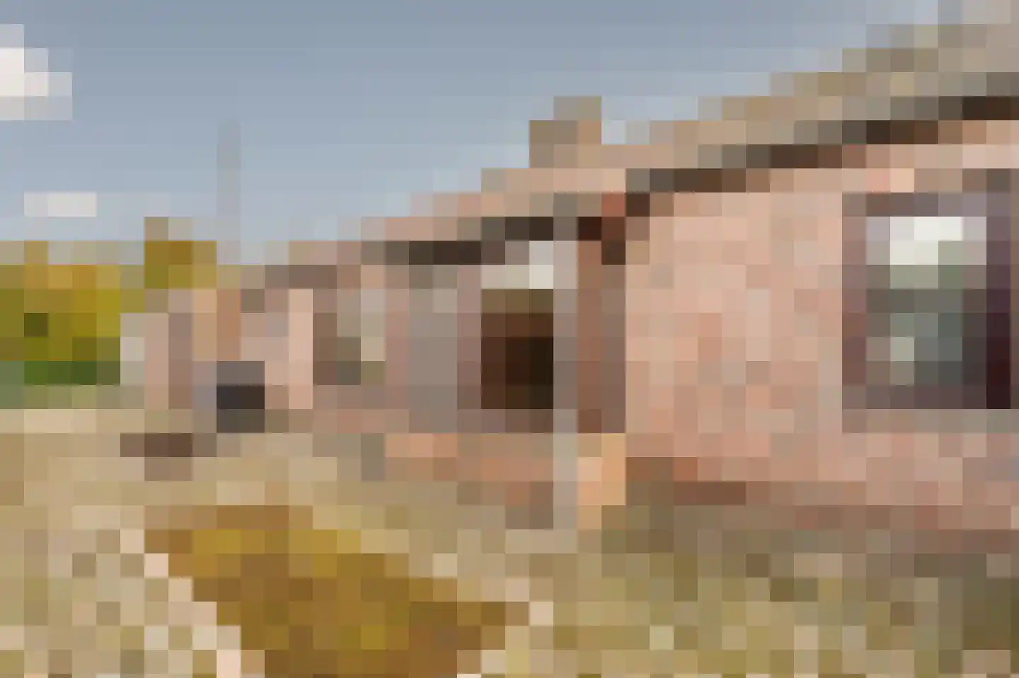 Kamperseweg 7 Zaamslag thumbnail 48