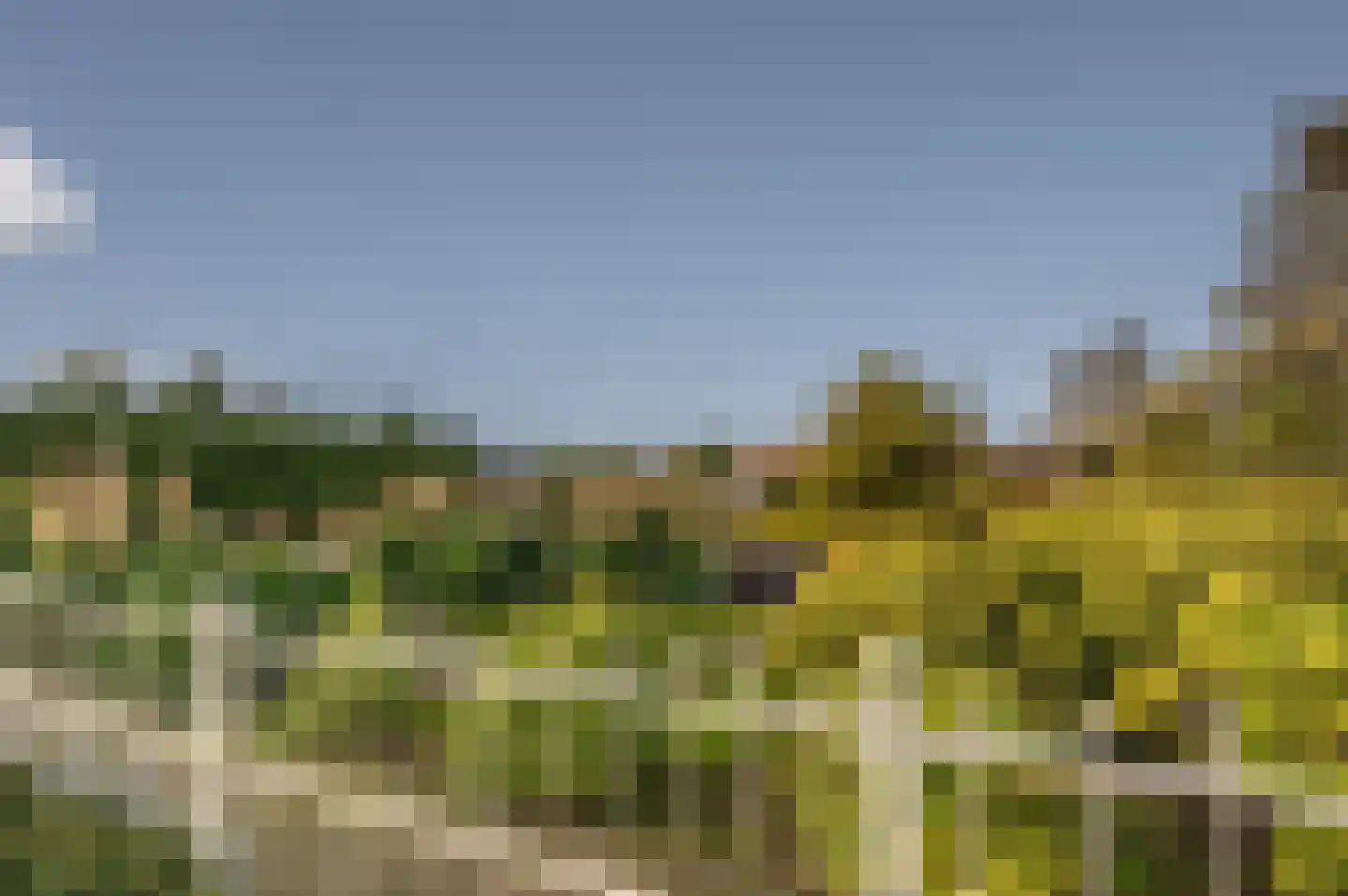 Kamperseweg 7 Zaamslag thumbnail 5