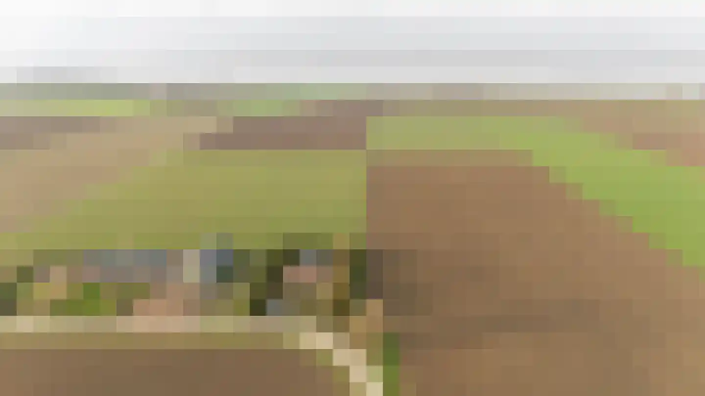 Kamperseweg 7 Zaamslag thumbnail 56