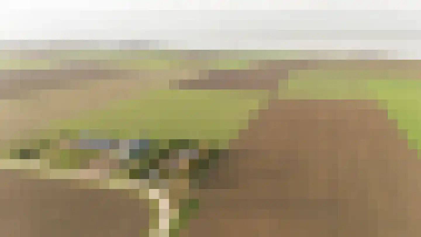 Kamperseweg 7 Zaamslag thumbnail 57