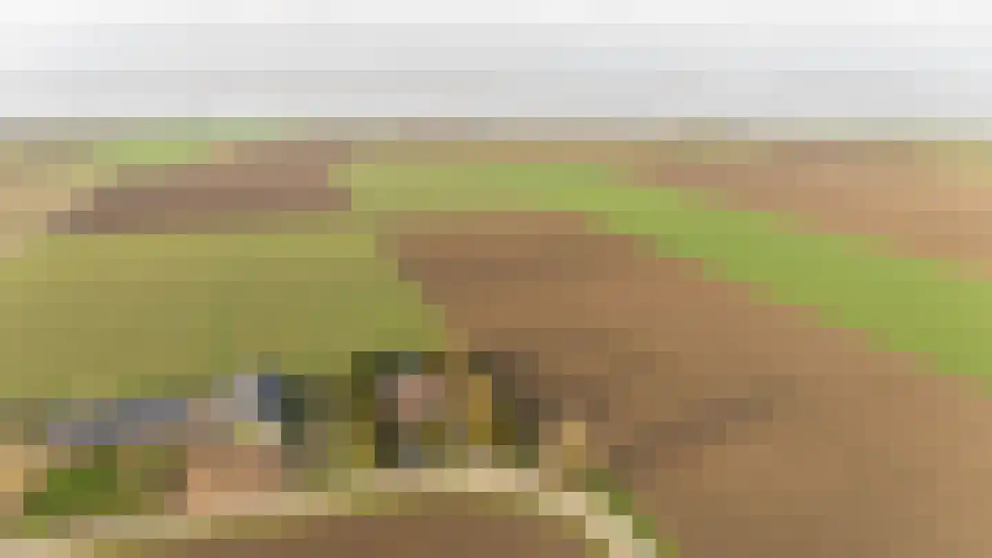 Kamperseweg 7 Zaamslag thumbnail 58