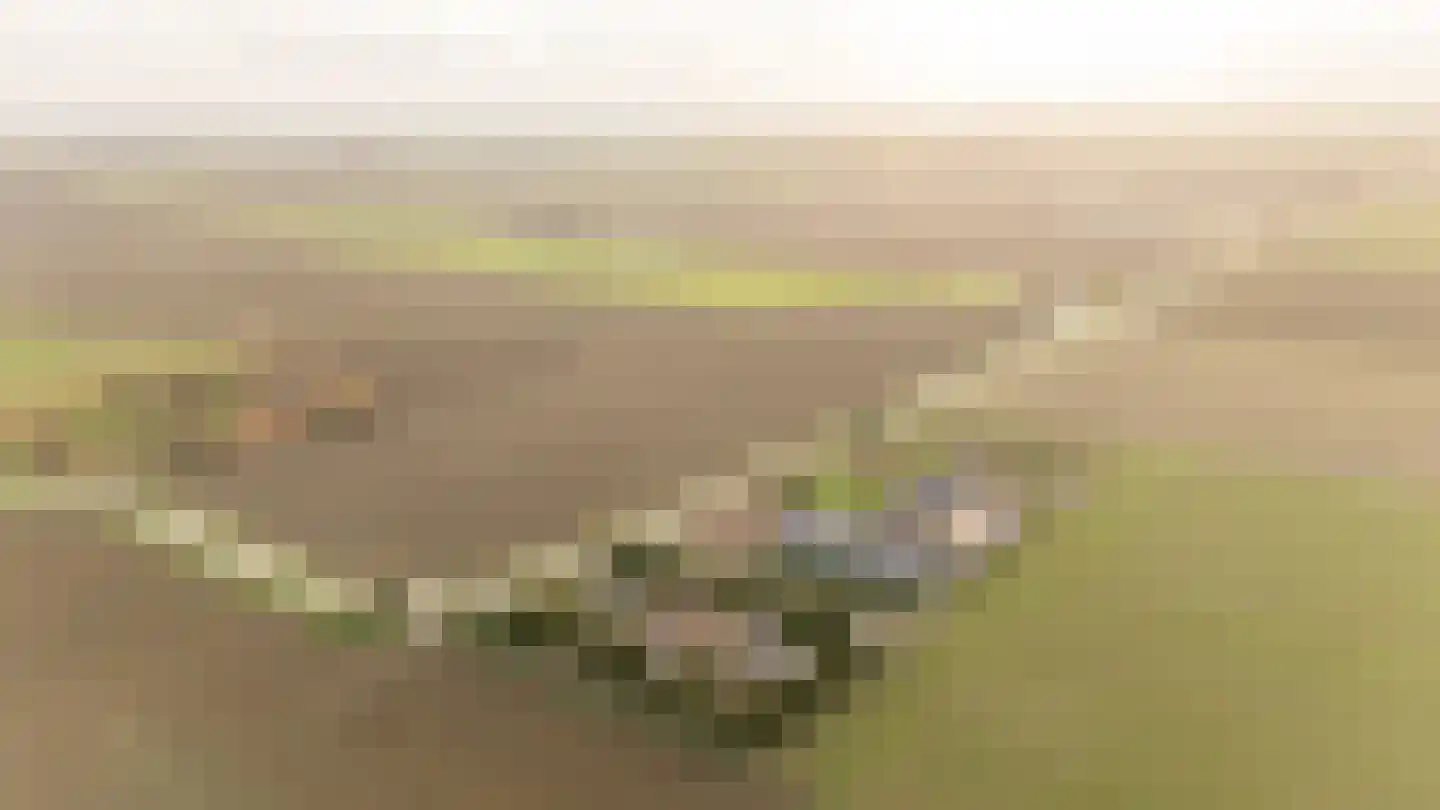 Kamperseweg 7 Zaamslag thumbnail 59
