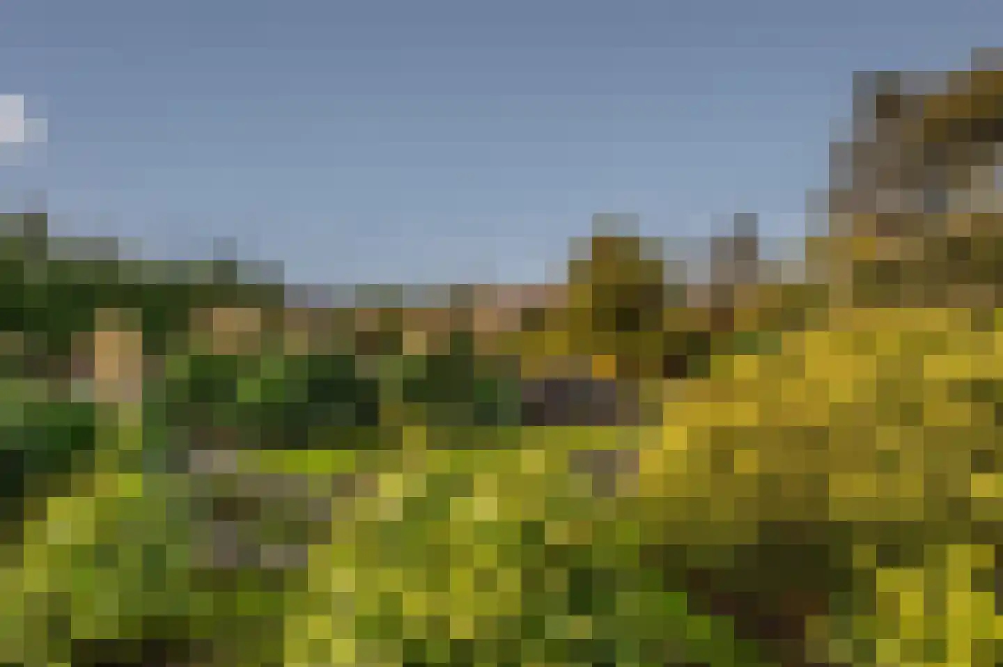 Kamperseweg 7 Zaamslag thumbnail 6