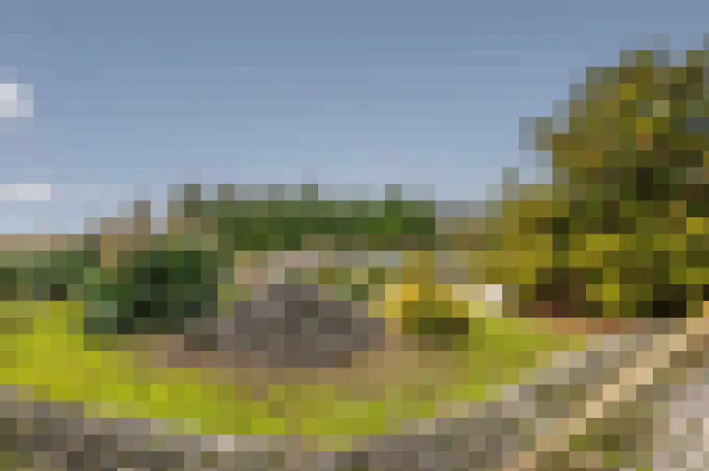 Kamperseweg 7 Zaamslag thumbnail 8