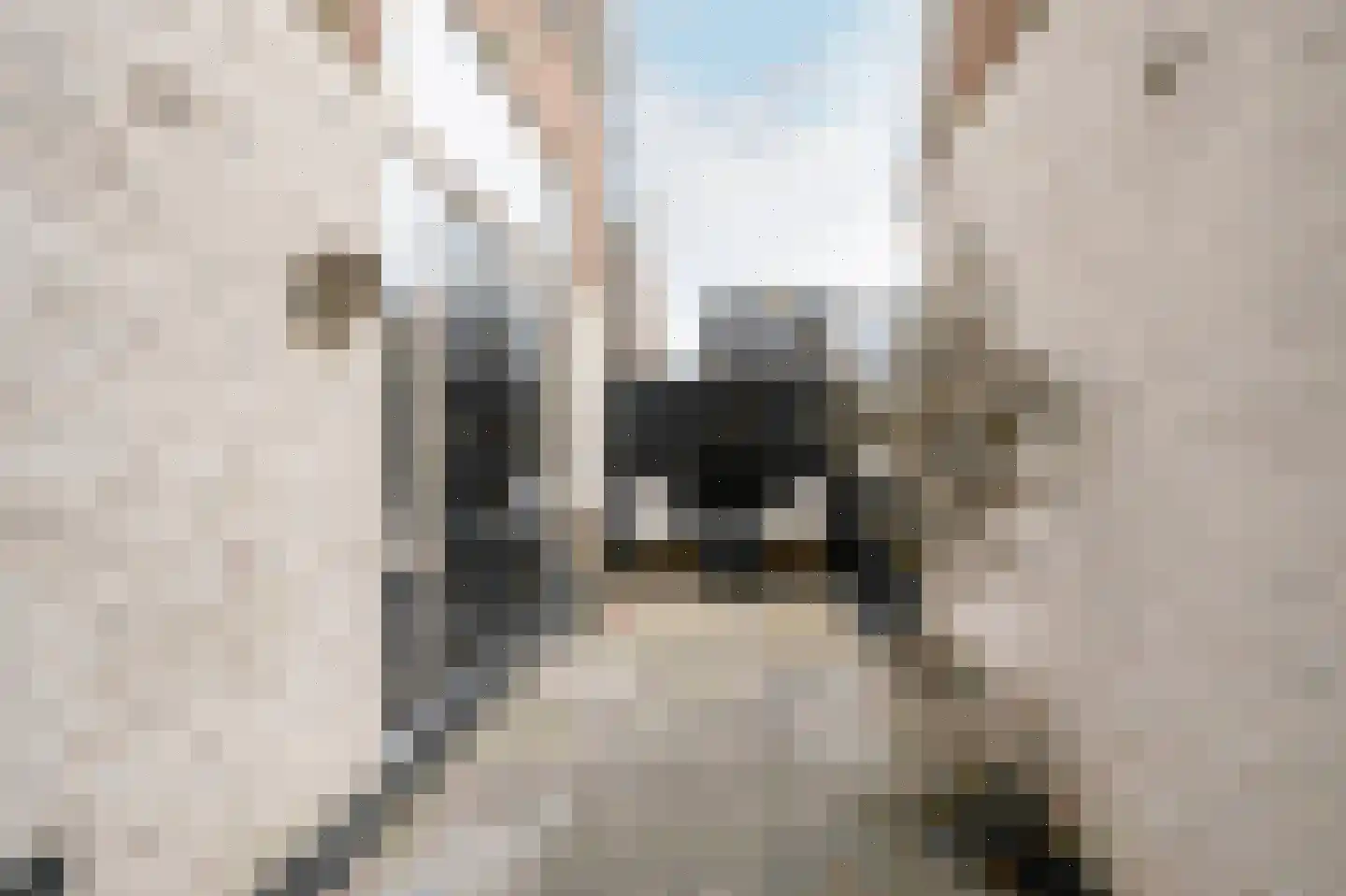 Kampersingel 6 RD Haarlem thumbnail 17