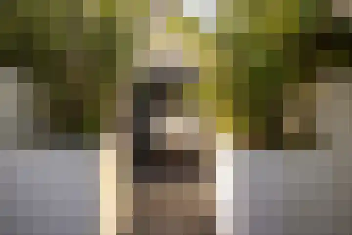 Kampersingel 6 ZW Haarlem thumbnail 24