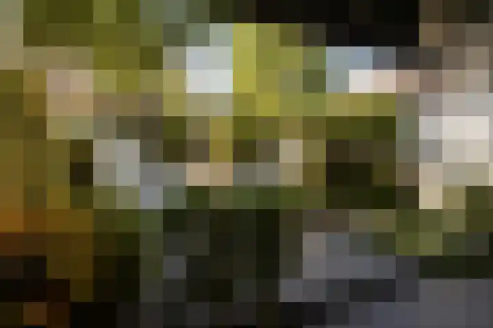 Kampersingel 6 ZW Haarlem thumbnail 26