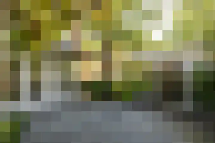 Kampersingel 6 ZW Haarlem thumbnail 27