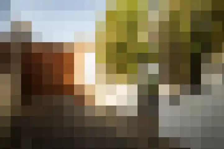 Kampersingel 6 ZW Haarlem thumbnail 29