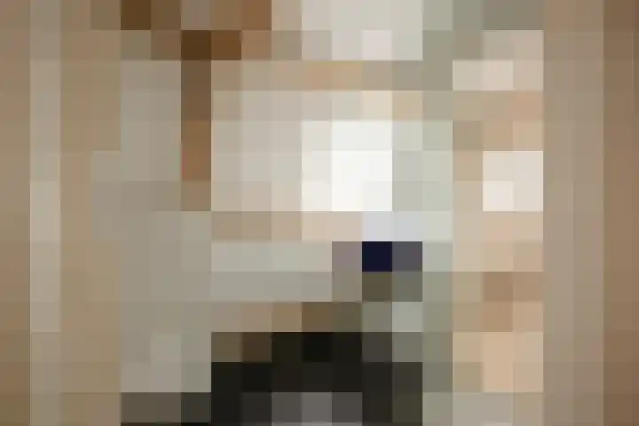 Kampersingel 6 ZW Haarlem thumbnail 44
