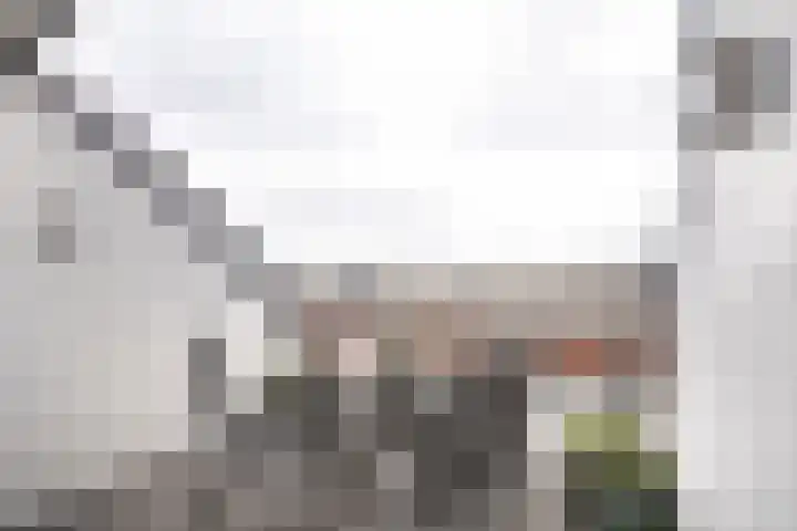 Kampersingel 60 Haarlem thumbnail 32