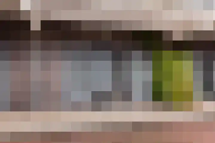 Kampersingel 60 Haarlem thumbnail 33